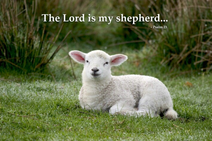 The Lord is My Shepherd ID 654112 Jim Miotke